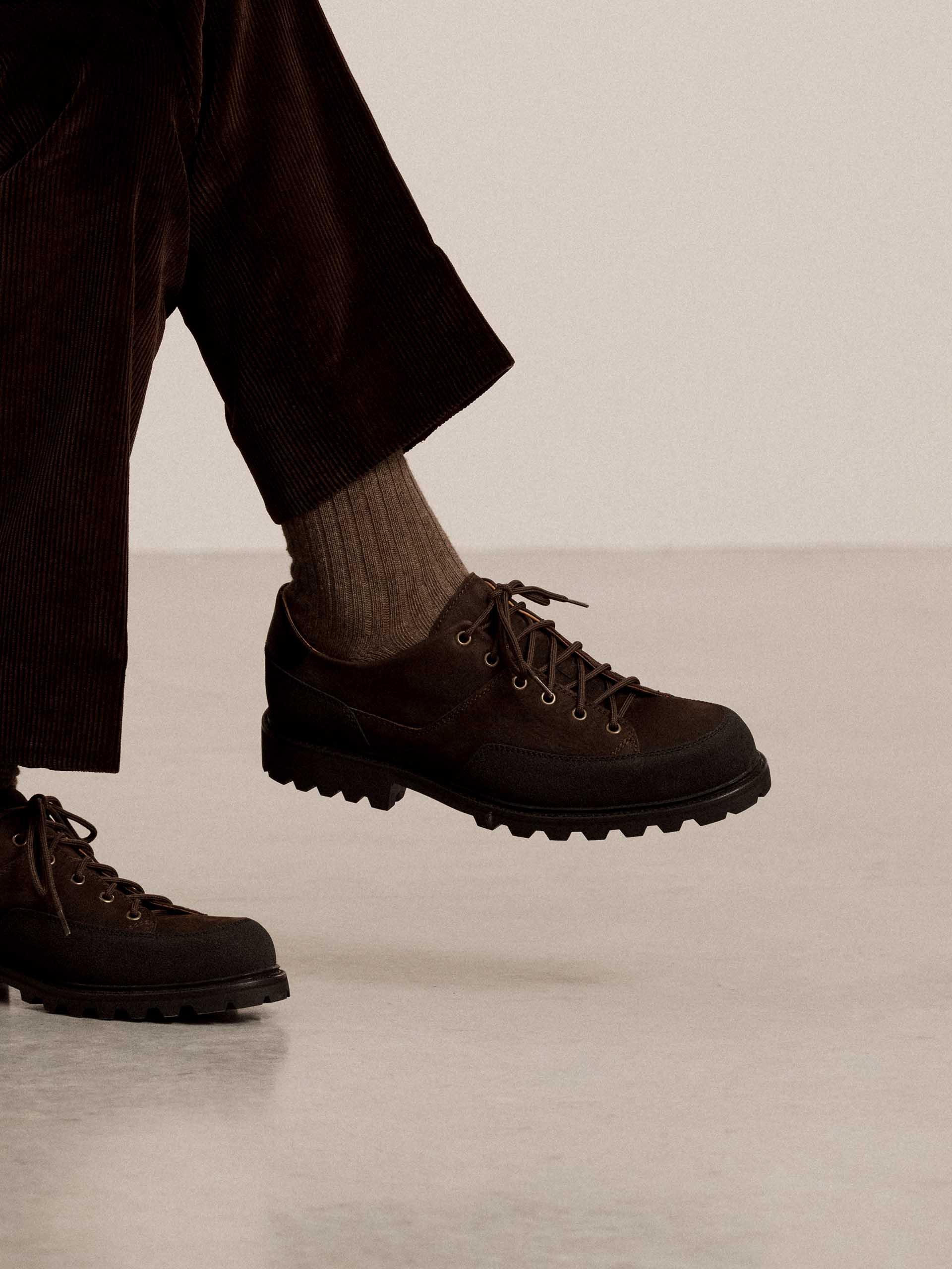 The Hybrid Hiker