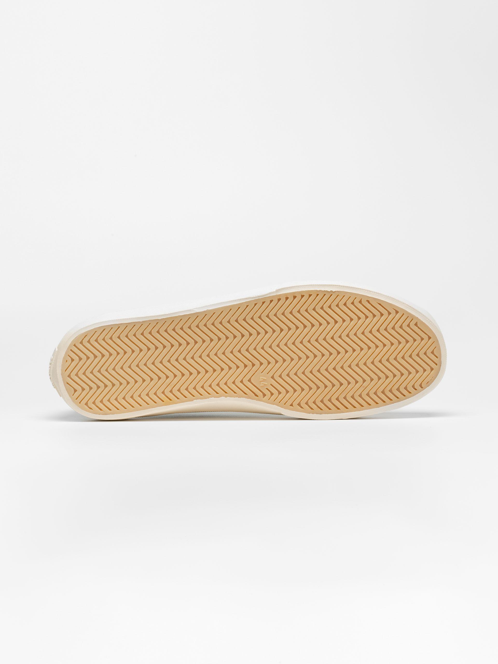 The Plimsoll