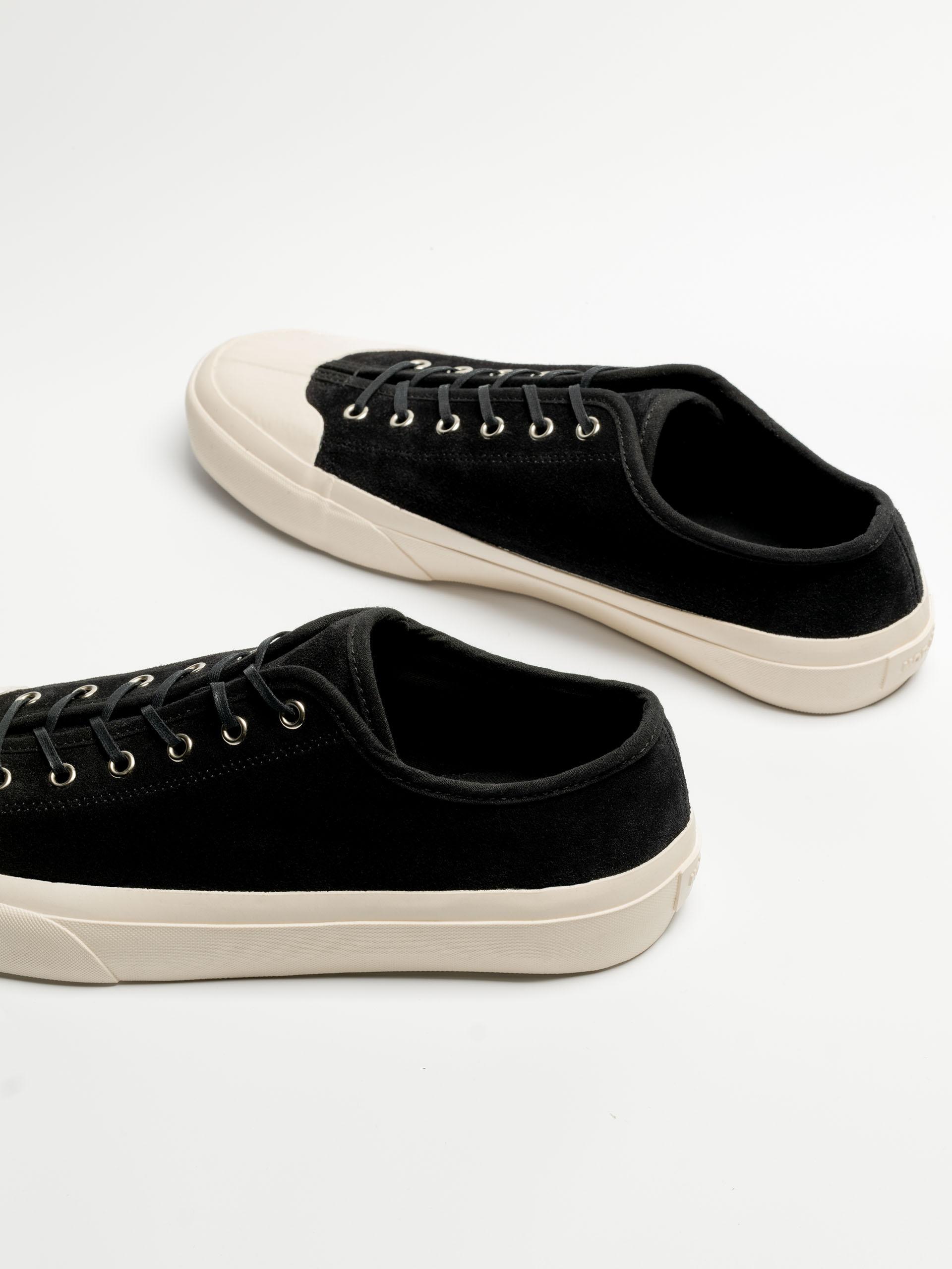 The Plimsoll