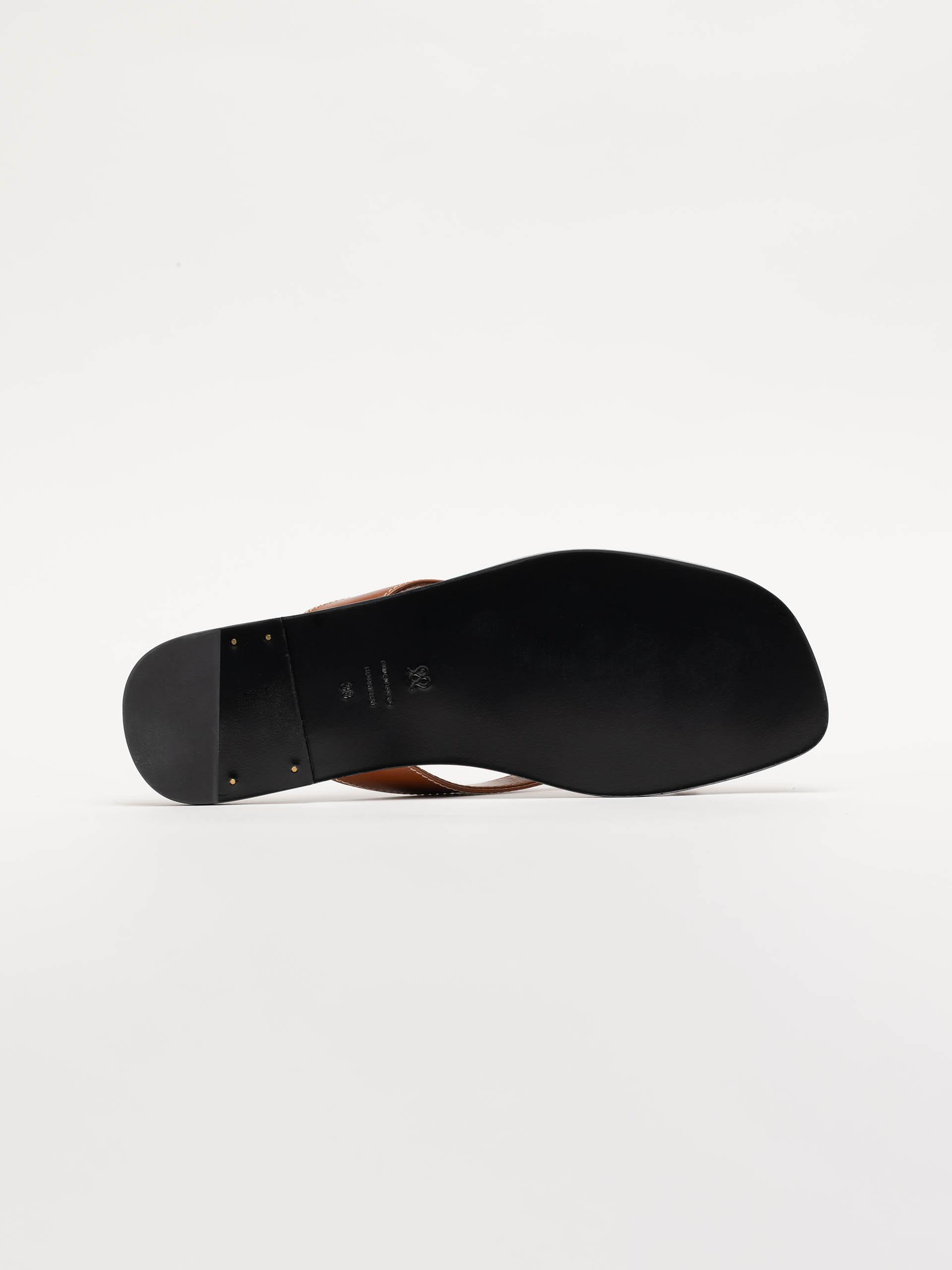 The Paloma Sandal