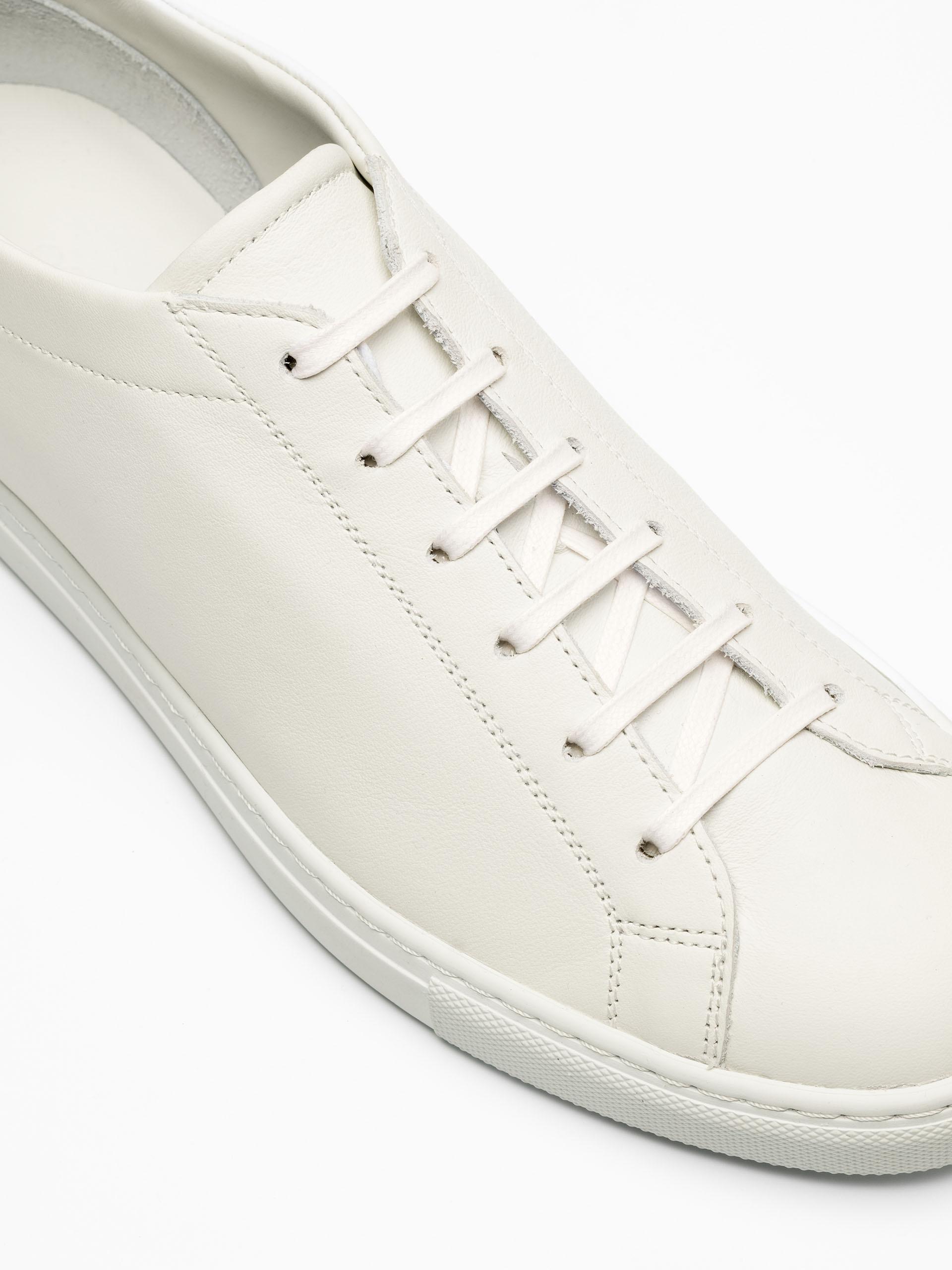 The Sneaker 02