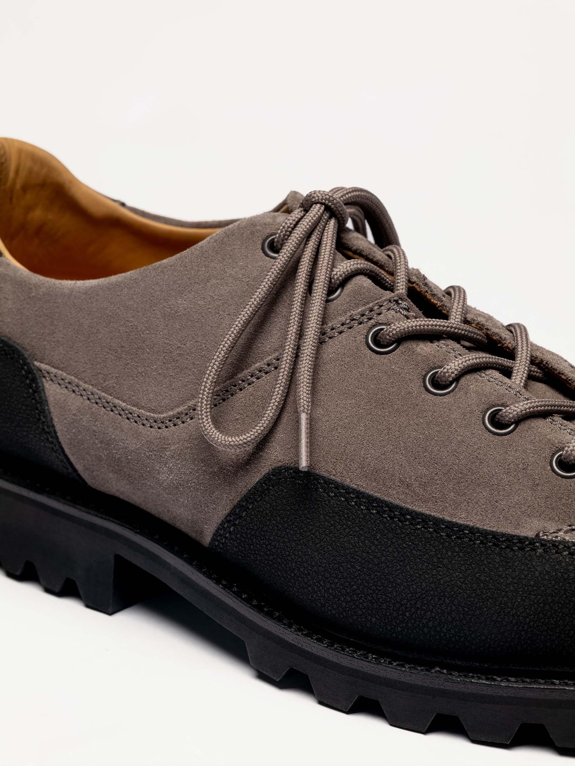 The Hybrid Hiker