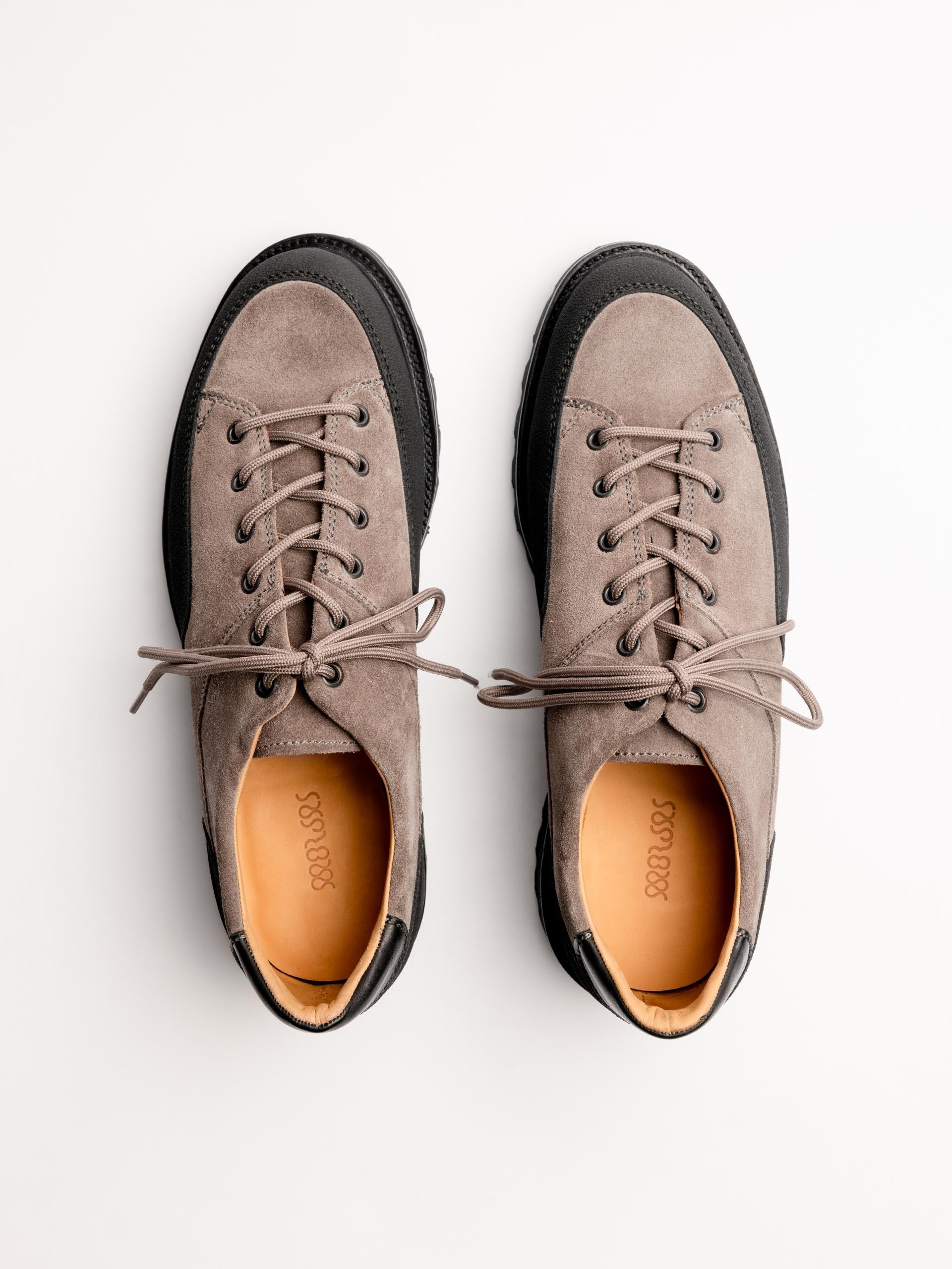 The Hybrid Hiker