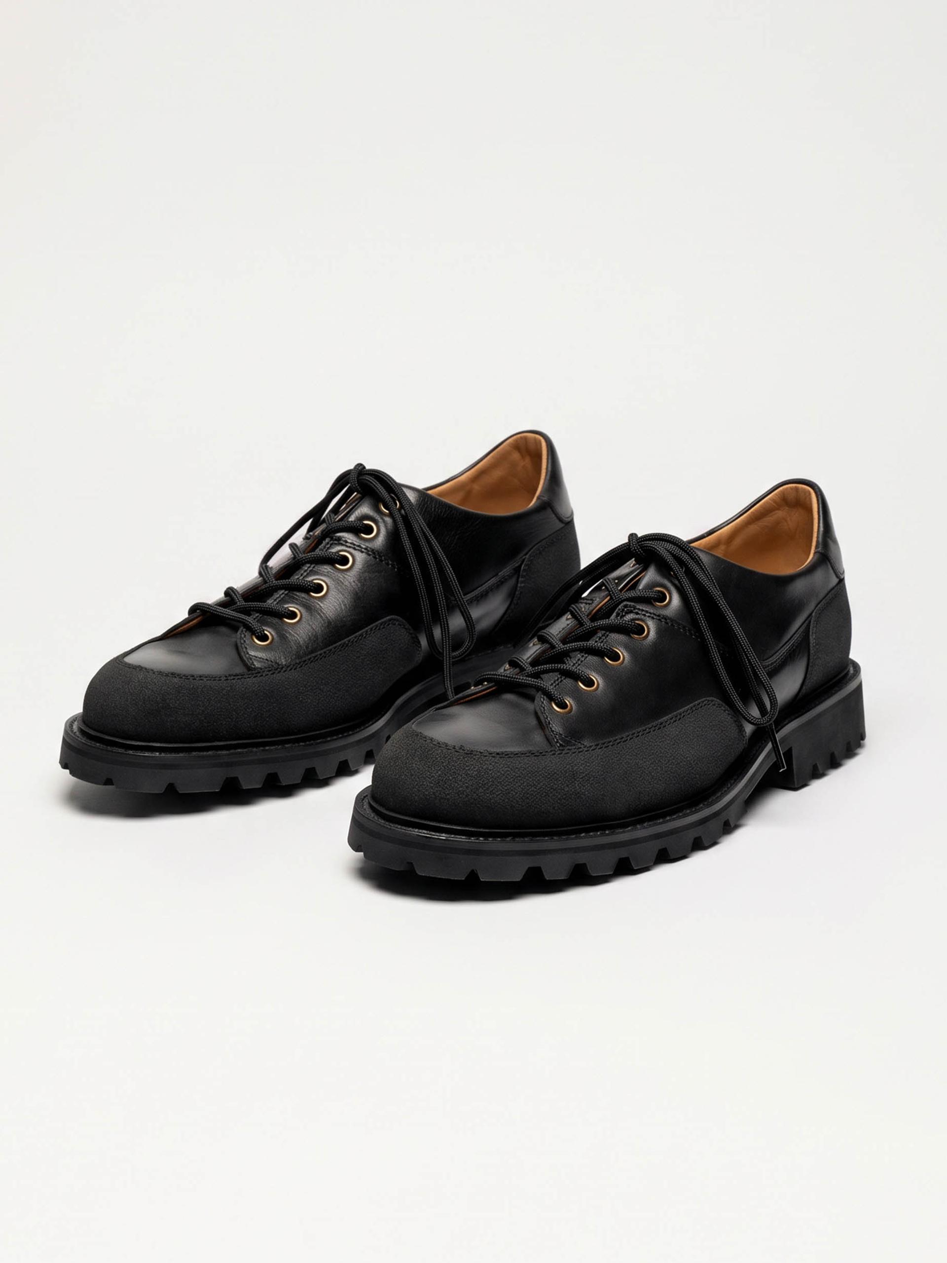 The Hybrid Hiker