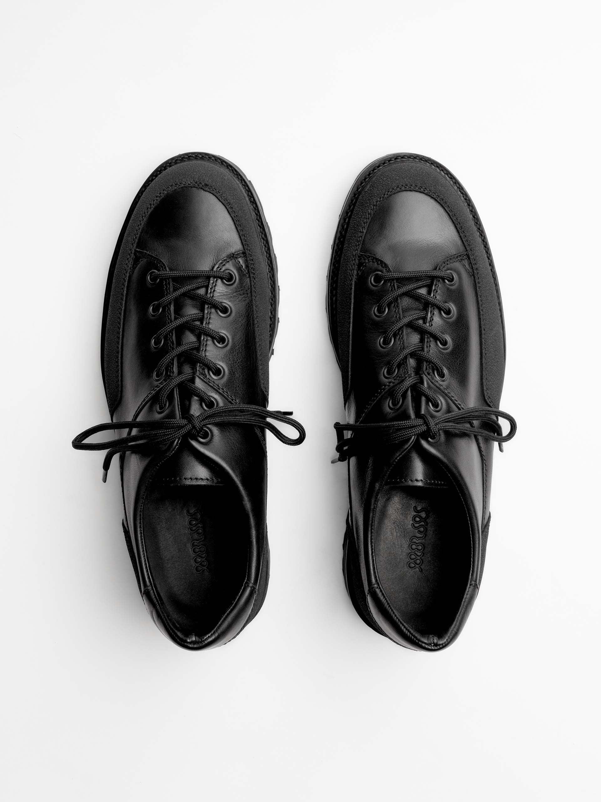 The Hybrid Hiker