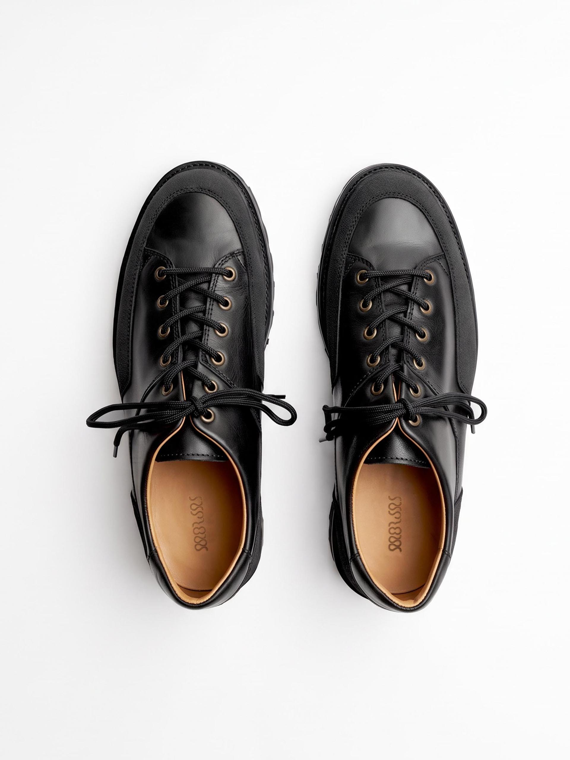 The Hybrid Hiker