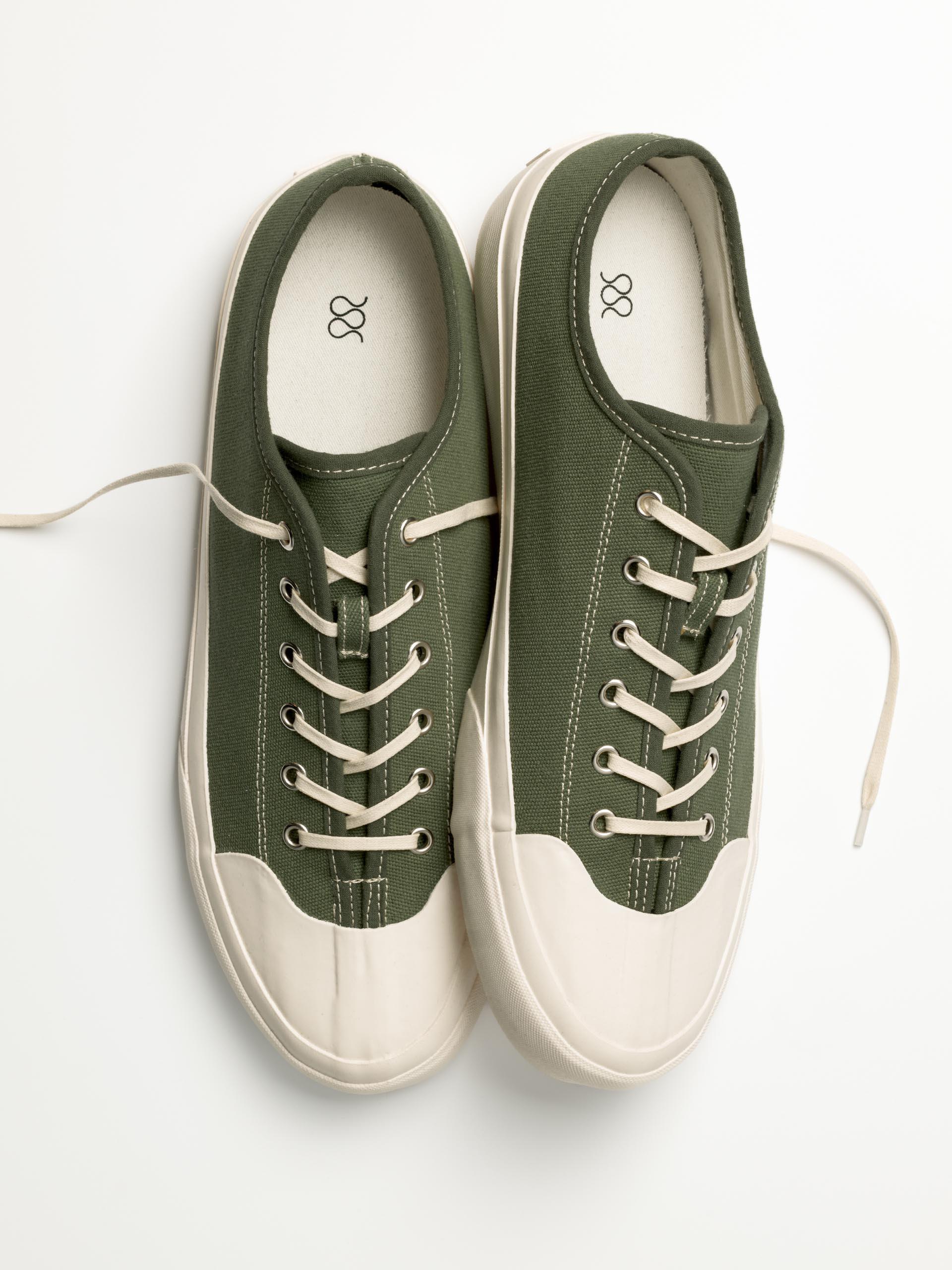 The Plimsoll