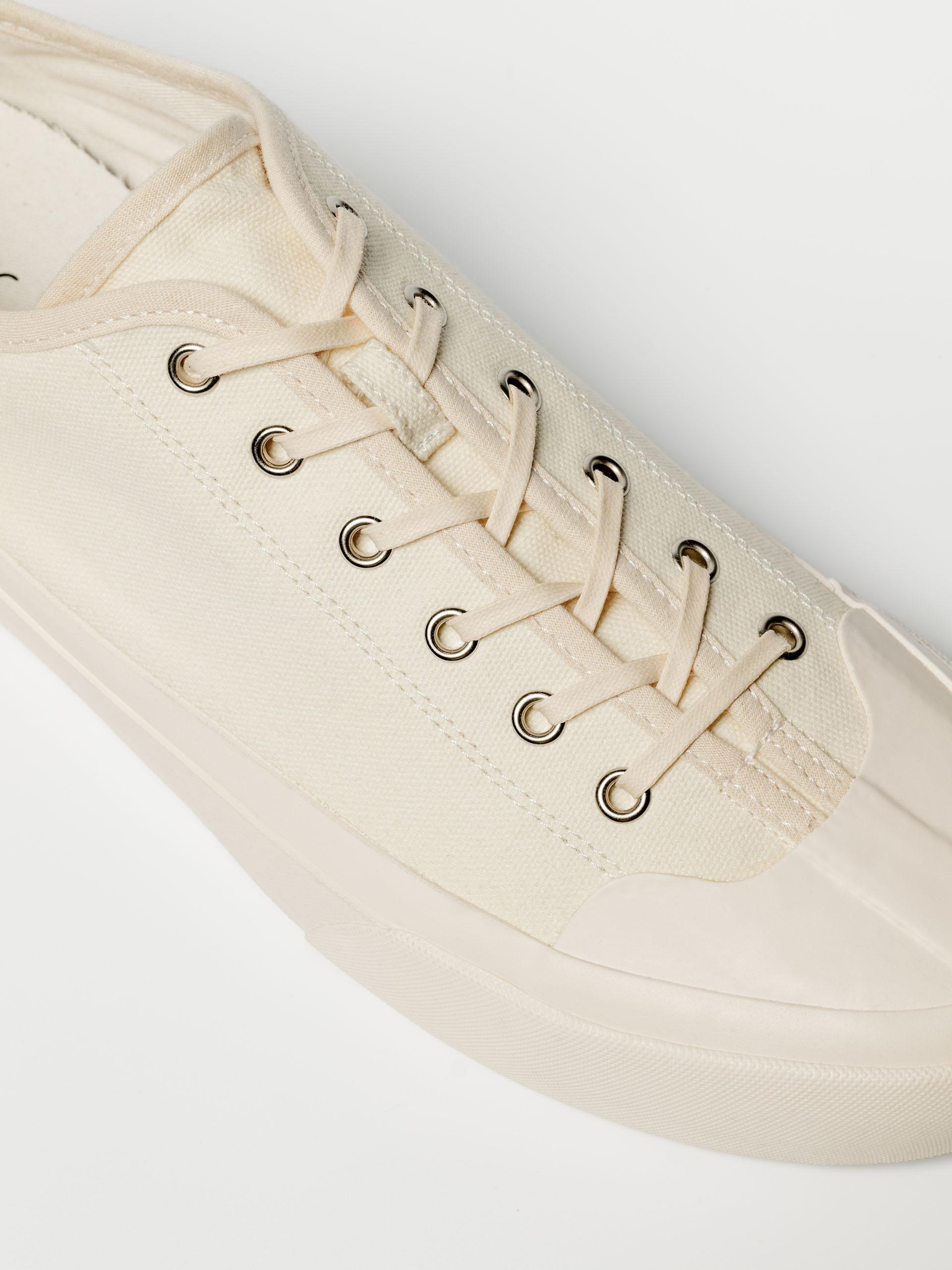 The Plimsoll