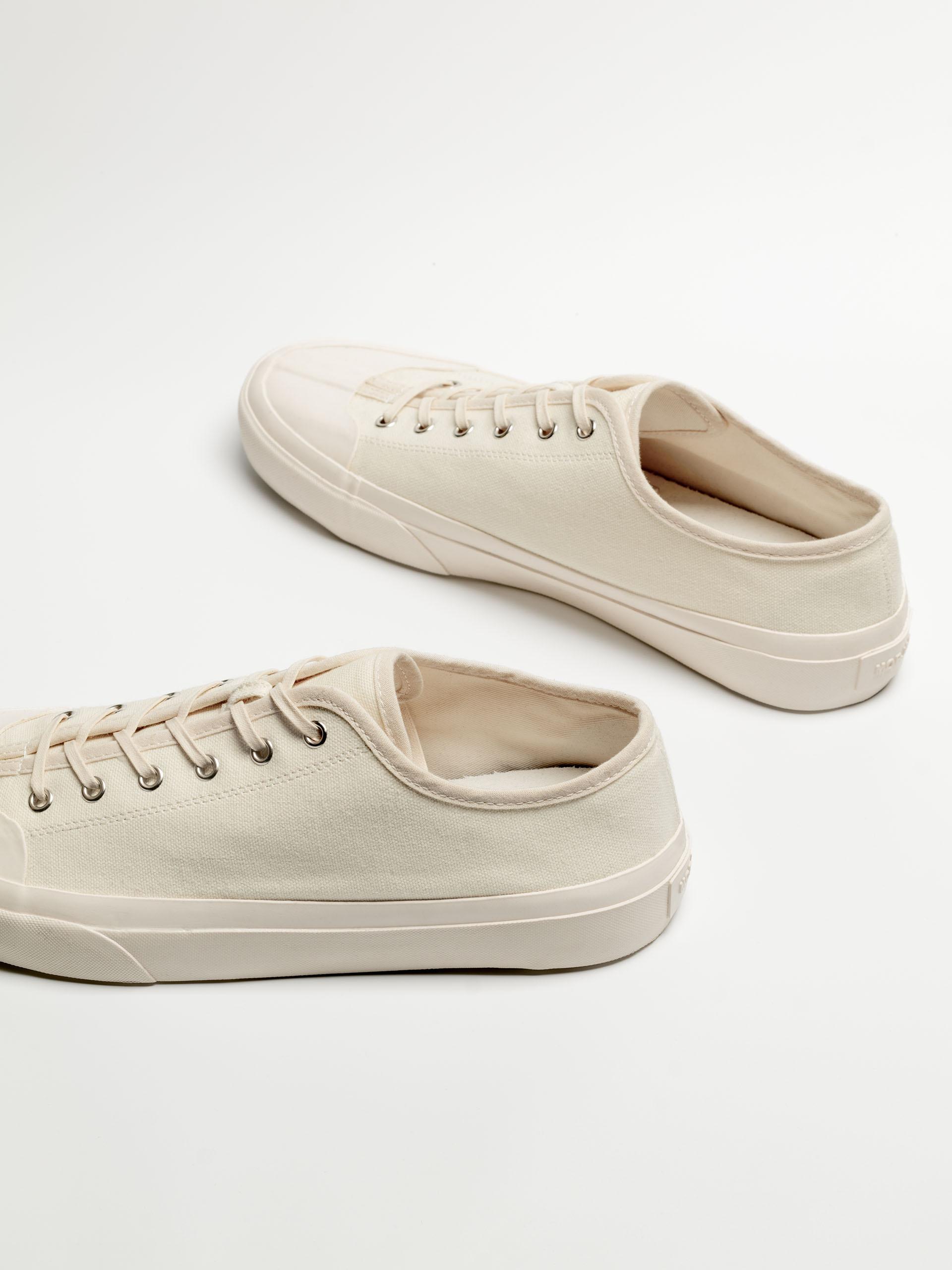 The Plimsoll